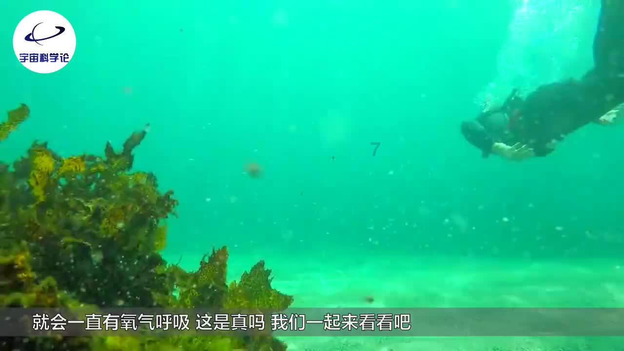 星际穿梭